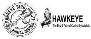 Hawkeye Falconry School and Falconer's Experiences